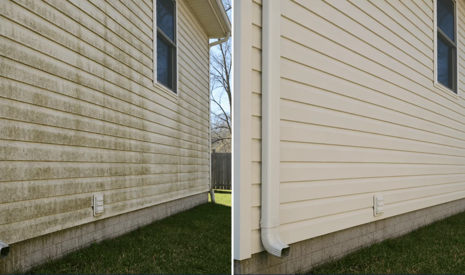 House siding before and after — one half covered in green algae, the other completely clean